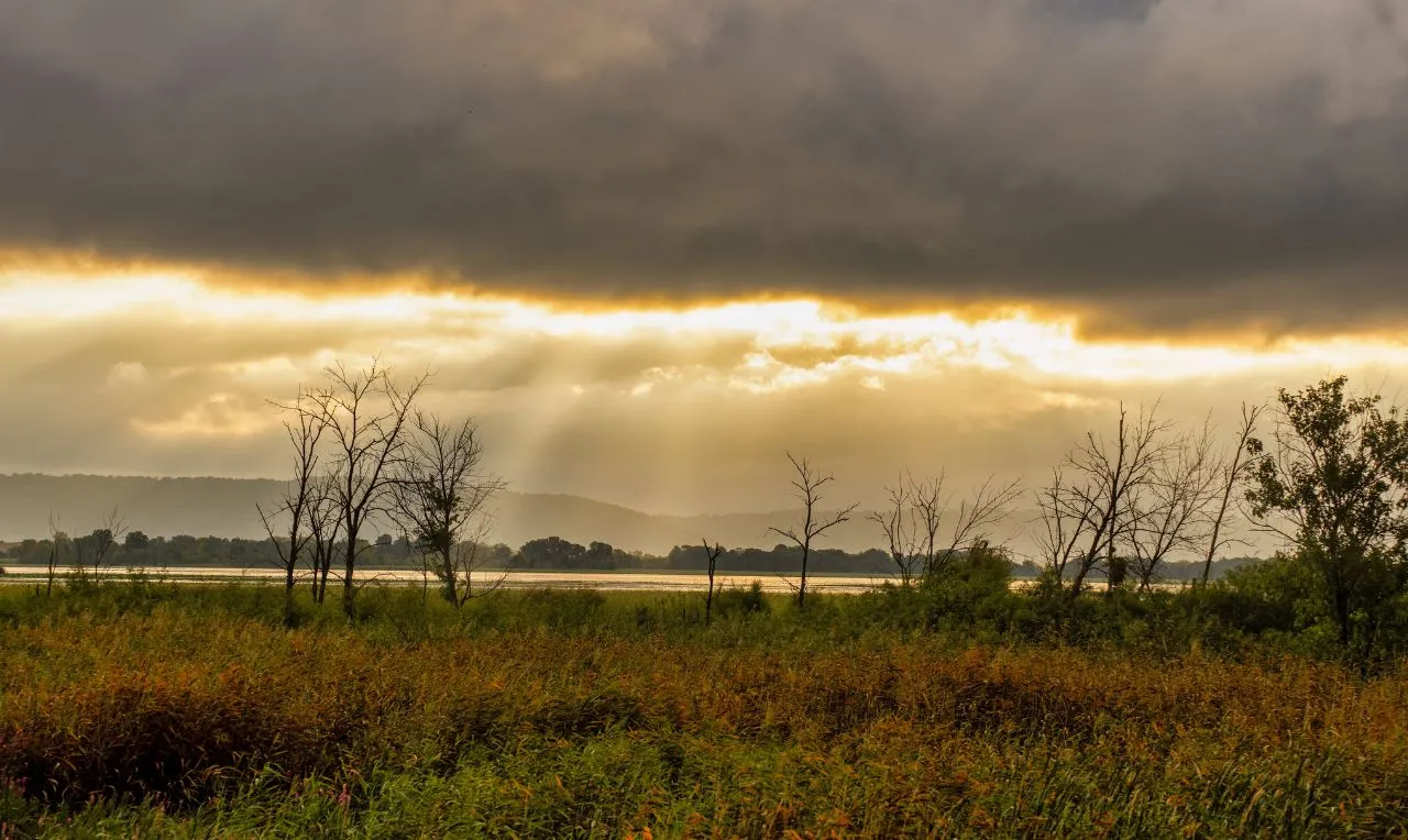 a imagem mostra o sol depois de um período de chuva